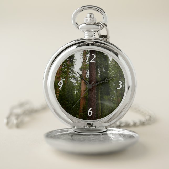 Mariposa Grove in Yosemite National Park Pocket Watch (Inside)