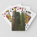 Mariposa Grove in Yosemite National Park Poker Cards