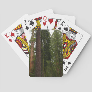 Mariposa Grove in Yosemite National Park Poker Cards
