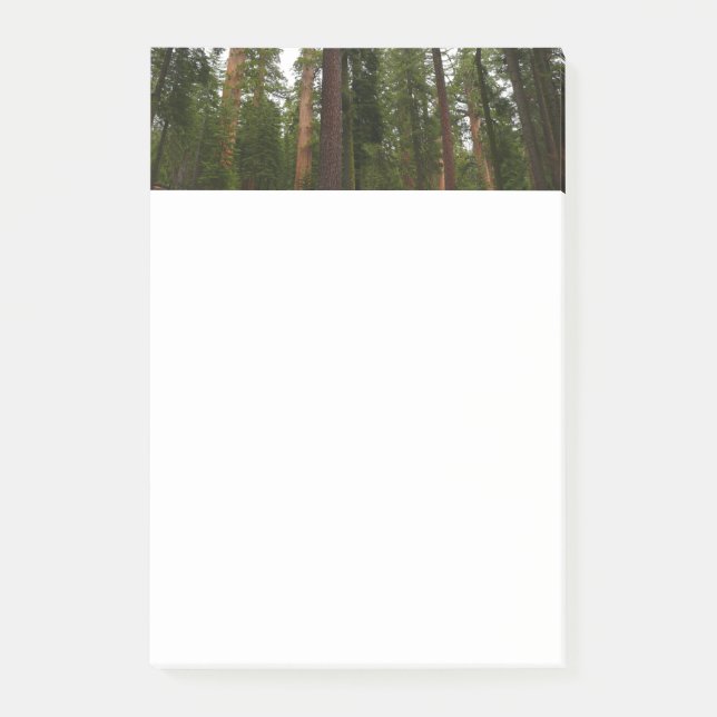Mariposa Grove in Yosemite National Park Post-it Notes (Front)