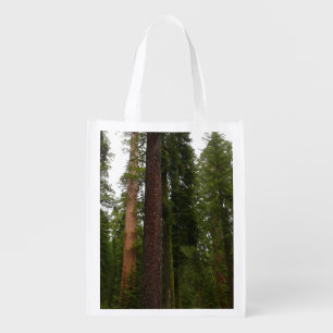 Mariposa Grove in Yosemite National Park Reusable Grocery Bag