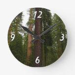 Mariposa Grove in Yosemite National Park Round Clock