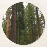 Mariposa Grove in Yosemite National Park Round Paper Coaster