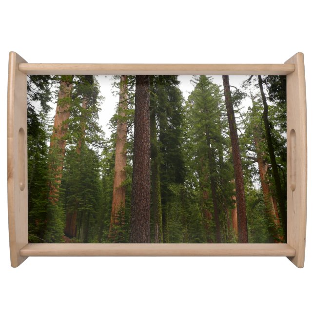Mariposa Grove in Yosemite National Park Serving Tray (Front)