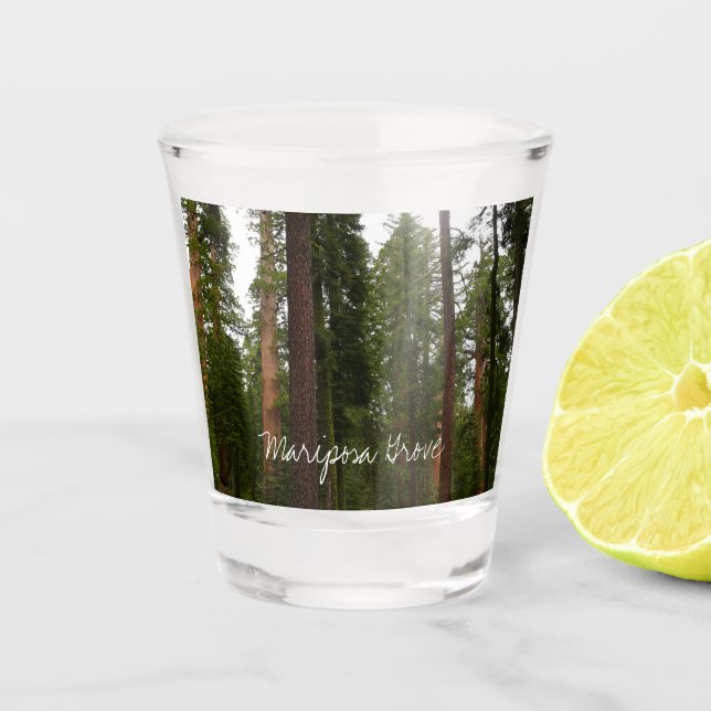 Mariposa Grove in Yosemite National Park Shot Glass (Front)