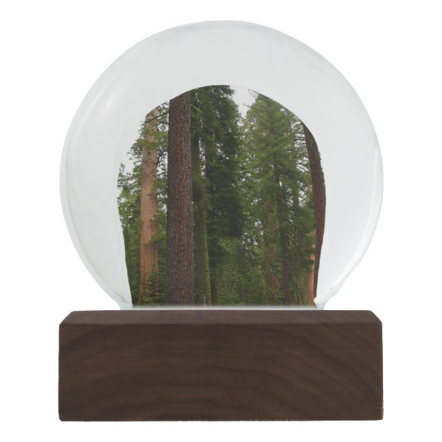 Mariposa Grove in Yosemite National Park Snow Globe (Front)