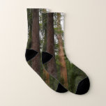 Mariposa Grove in Yosemite National Park Socks