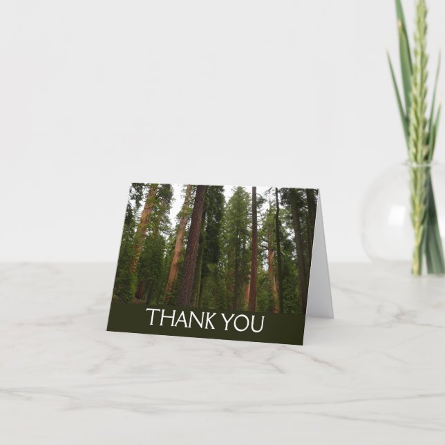 Mariposa Grove in Yosemite National Park Thank You Card (Front)