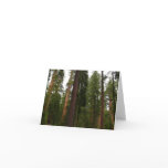 Mariposa Grove in Yosemite National Park Thank You Card