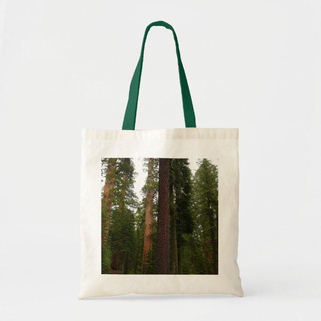 Mariposa Grove in Yosemite National Park Tote Bag (Front)