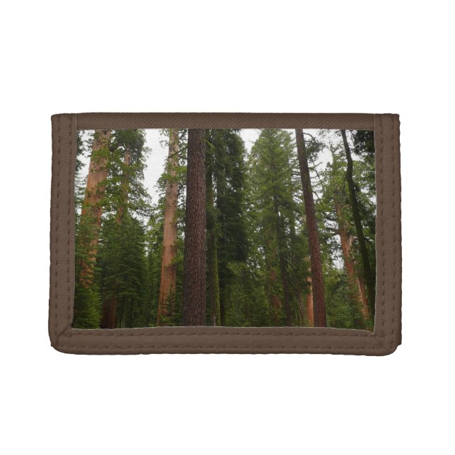 Mariposa Grove in Yosemite National Park Trifold Wallet (Front)