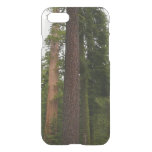 Mariposa Grove in Yosemite National Park iPhone SE/8/7 Case