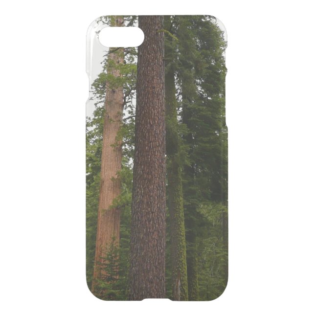 Mariposa Grove in Yosemite National Park Uncommon iPhone Case (Back)
