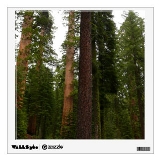 Mariposa Grove in Yosemite National Park Wall Decal