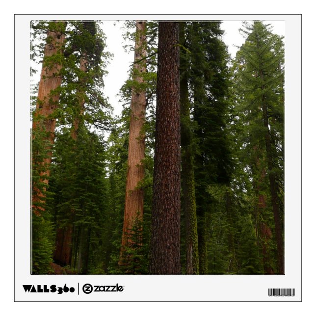 Mariposa Grove in Yosemite National Park Wall Decal (Front)