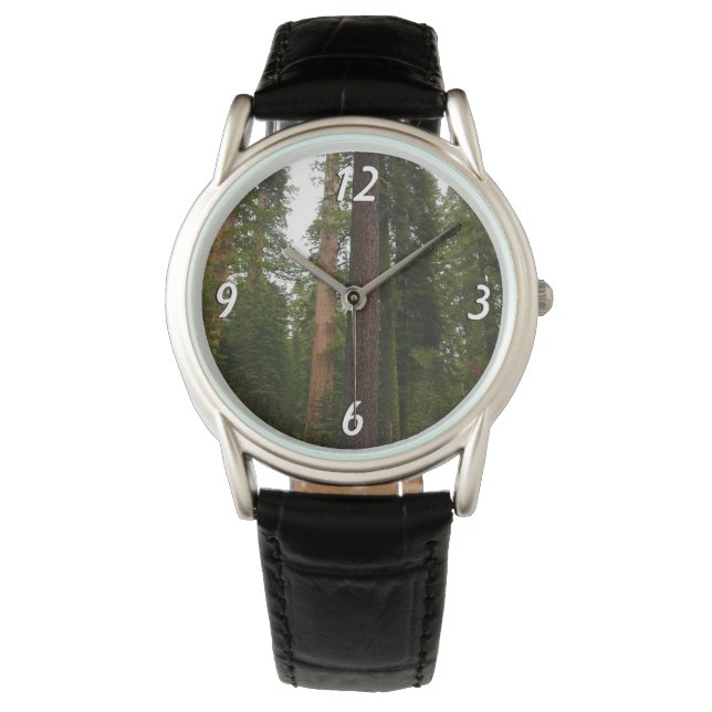 Mariposa Grove in Yosemite National Park Watch (Front)