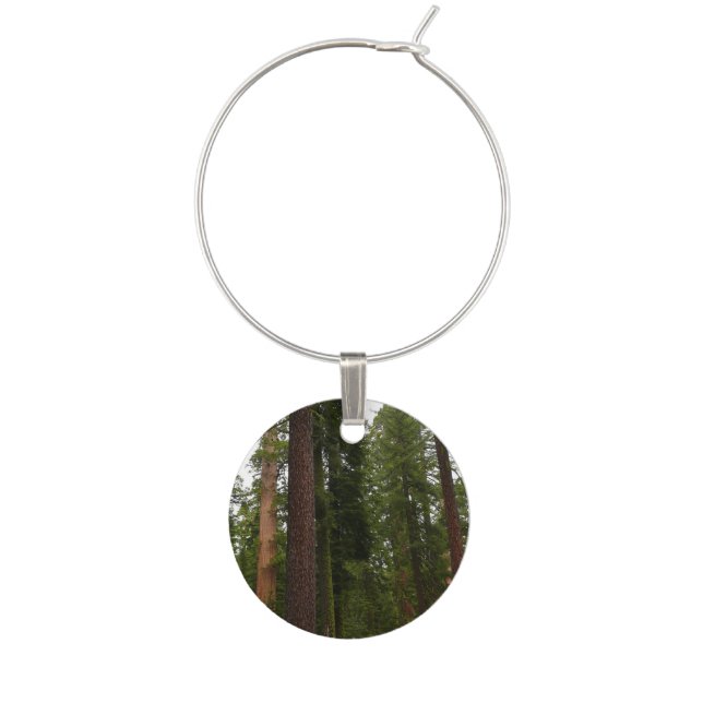 Mariposa Grove in Yosemite National Park Wine Glass Charm (Front)