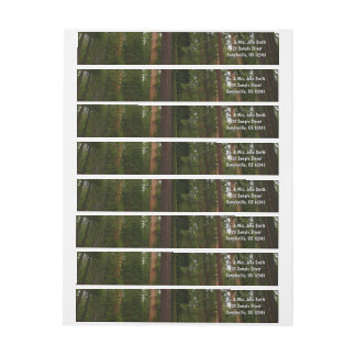 Mariposa Grove in Yosemite National Park Wrap Around Label
