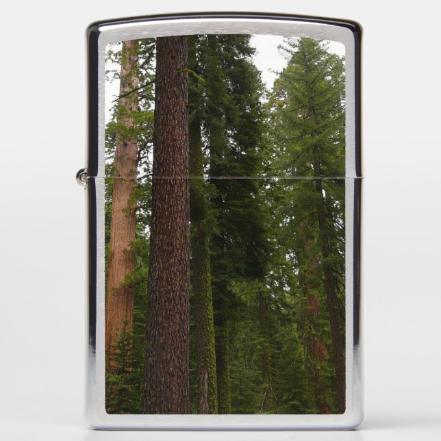 Mariposa Grove in Yosemite National Park Zippo Lighter (Front)