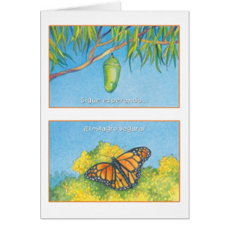 Mariposa Monarca, tarjeta Cards