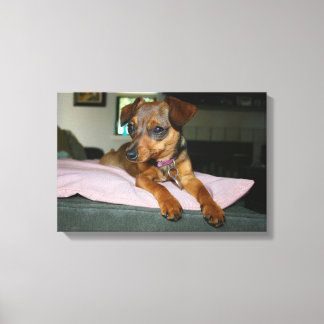 Marisol portrait canvas print
