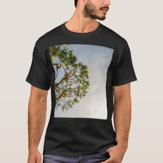 Maritime Pine In French Riviera In A Sunny Winter T-Shirt