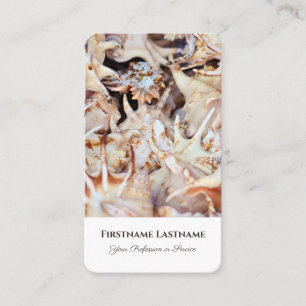 Maritime seashells scallops travel agent experts business card