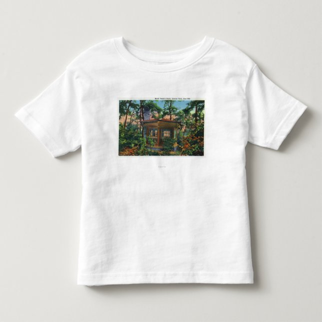 Mark Twain's Study at Quarry Farm, East Hill Toddler T-shirt (Front)