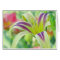 Marked Lily - Daylily