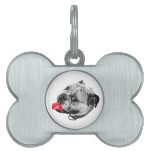 Marked with Familiar Care Pet ID Tag