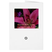 Market Flowers I Cards (Back)