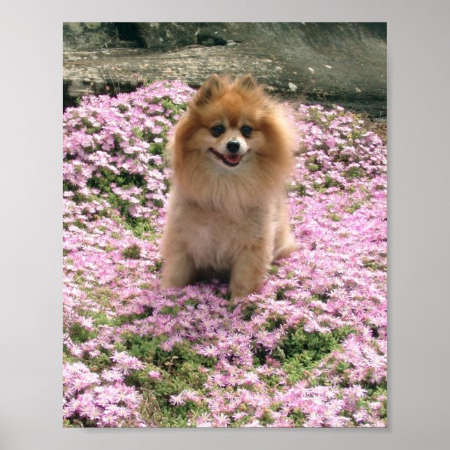 Marley with Pink Flowers Poster (Front)