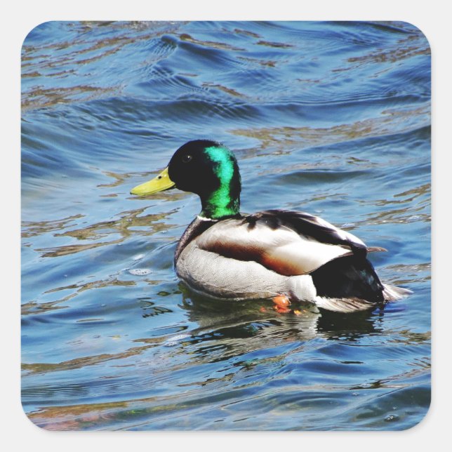 Marllad Square Sticker (Front)