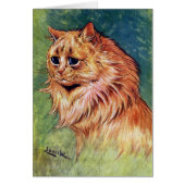 Marmalade Cat with Blue Eyes (Front)