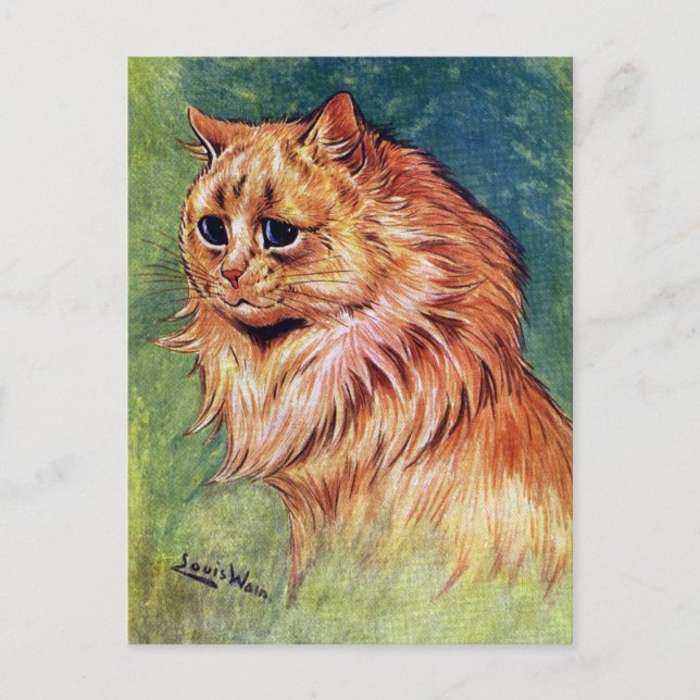 Marmalade Cat with Blue Eyes Postcard (Front)