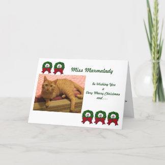 Marmalady Cat Rescue Christmas Cards
