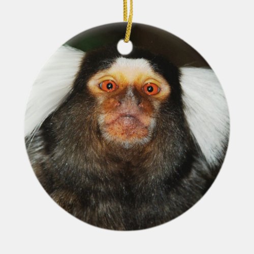 Marmoset hanging ornament