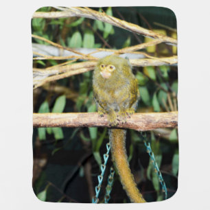 Marmoset Monkey Sitting On Branch, Baby Blanket