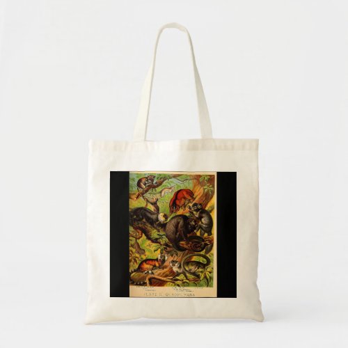 Marmoset Tarsier Lemur Monkey Vintage Animal Litho Tote Bag