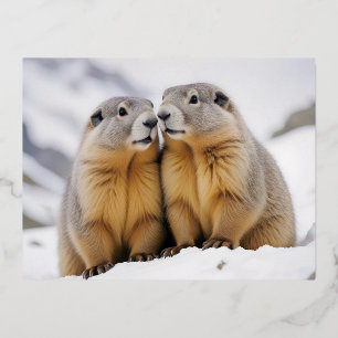 Marmot Animal Nature Wildlife Affection Caring Foil Holiday Postcard