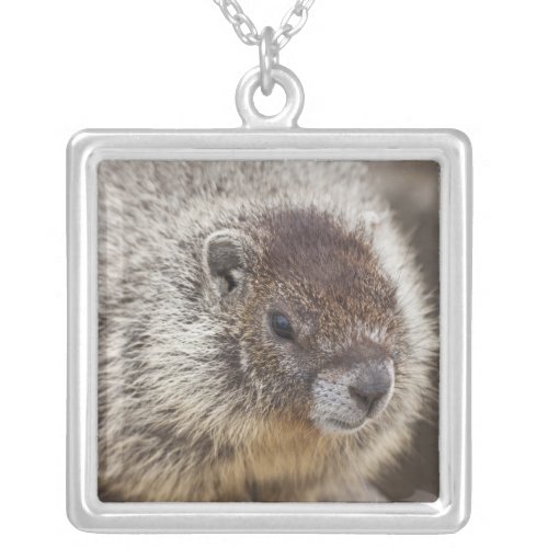 Marmot at Palouse Falls State Park Silver Plated Necklace