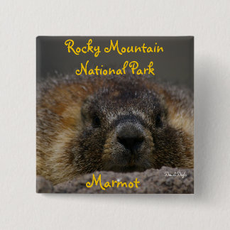 Marmot at Rocky Mountian National Park Pinback Button