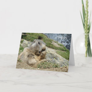 Marmot birthday card