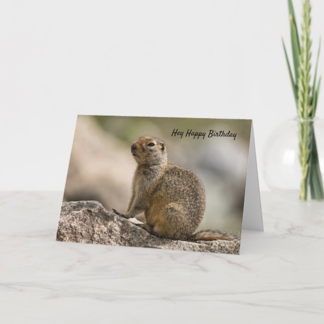 Marmot Birthday Card (Front)