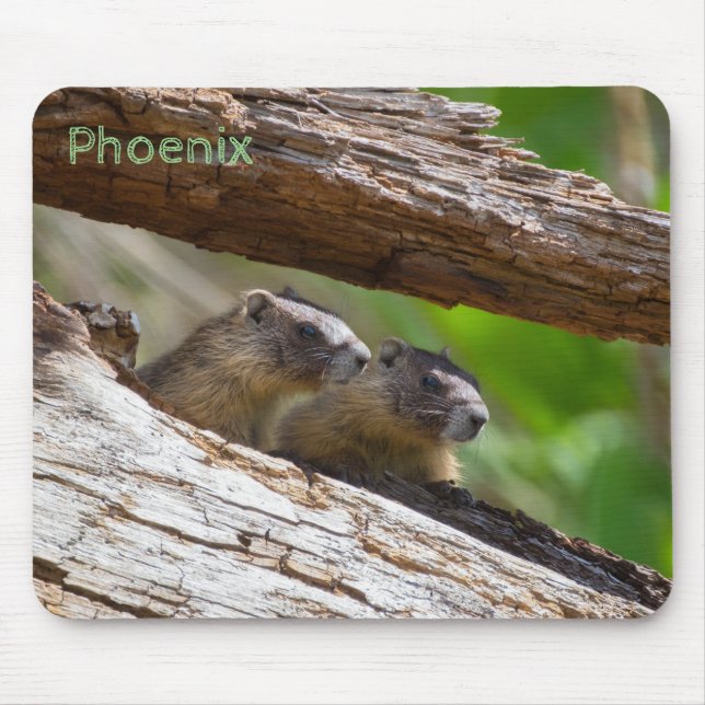 Marmot Brothers Mouse Pad (Front)