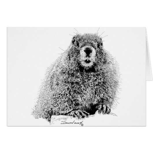 Marmot Cards (Front Horizontal)