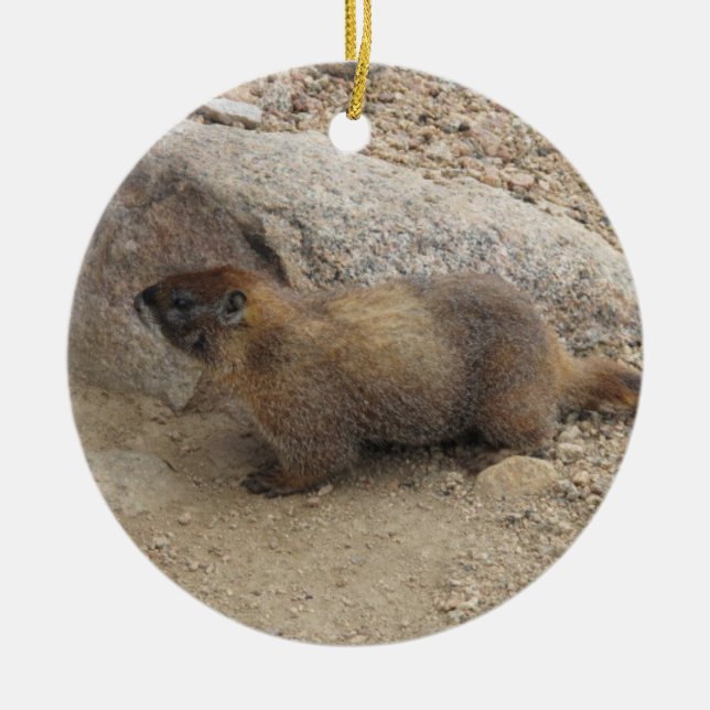 Marmot Ceramic Ornament (Front)