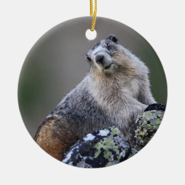 marmot ceramic ornament (Front)