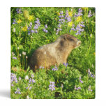 Marmot in Mount Rainier Wildflowers 3 Ring Binder