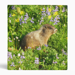 Marmot in Mount Rainier Wildflowers 3 Ring Binder